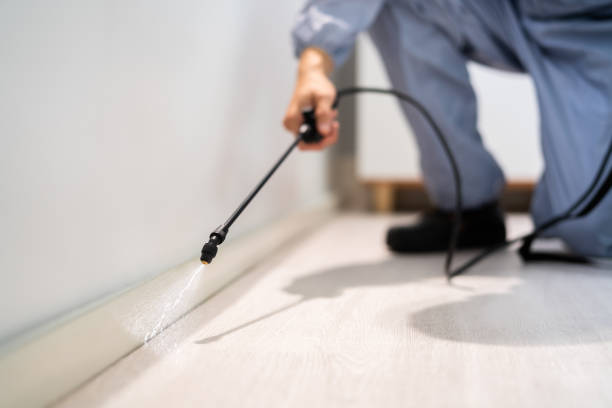 Bed Bug Pre-Treatment Preparation Assessment in Folkston