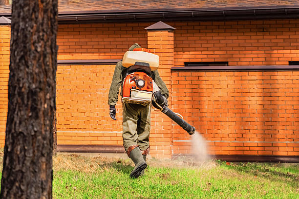 Bed Bug Clearance Verification and Documentation in Folkston